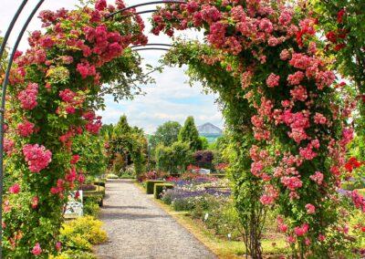 Rosarium Sangerhausen