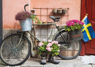 Schweden Busreise nicotours 2025