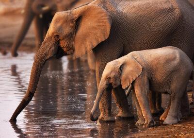 Namibia begleitete Flugreise mit nictours