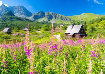 Hohe Tatra