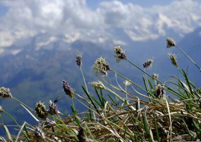 busreise nictours 2025 Schweiz