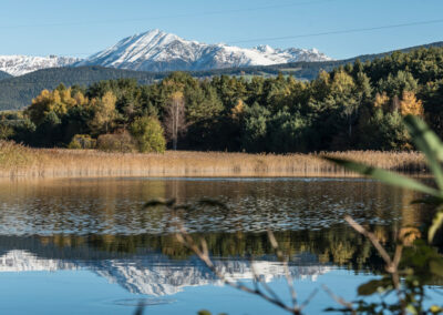 Apfelblütenfest in Südtirol