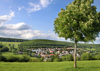 Bad Homburg Taunus nictours Busreise