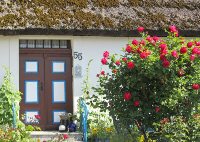 Ostseebad Dierhagen Reetdachhaus