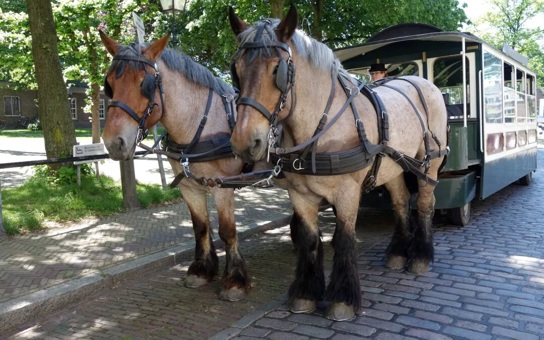 Döbeln mit Pferdebahn