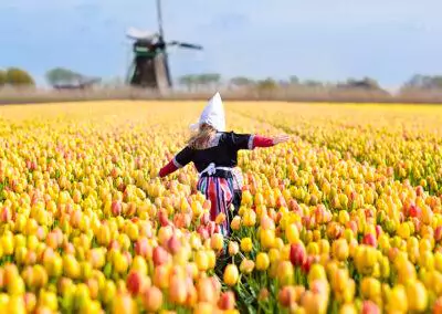 Holland nictours