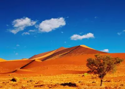 Namibia begleitete Flugreise mit nictours