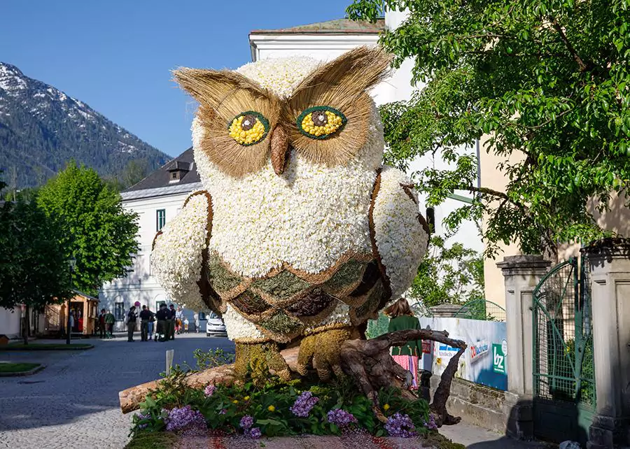 Narzissenfest im Ausseerland-Salzkammergut