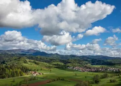 Den Schwarzwald erleben