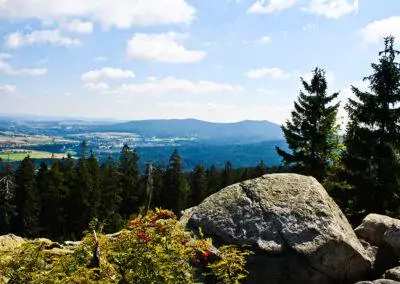 Fichtelgebirge Sommerüberraschung