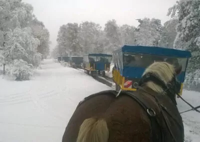 Silvester in der Lüneburger Heide busreise nictours 2025