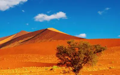 Naturwunder Namibias 2026