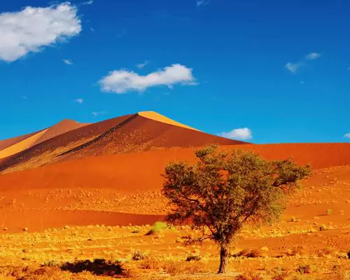 Naturwunder Namibia