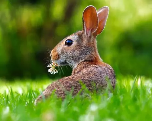 Ostern im Münsterland