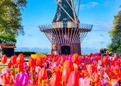 Windmühle in Holland nictours