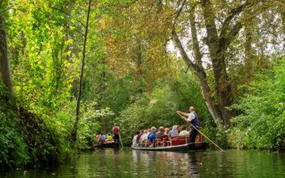 Spreewald erleben