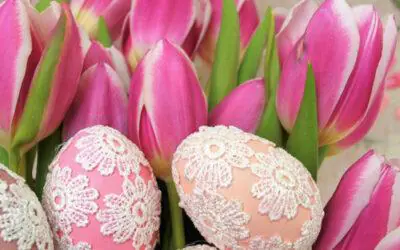 Zum Häsle ins Ländle