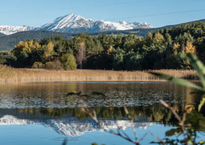 Apfelblütenfest in Südtirol