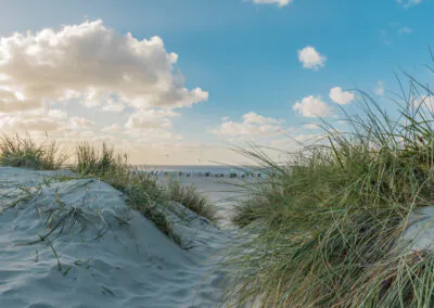 Inselhüpfen in Ostfriesalnd Busreise nictours 2026