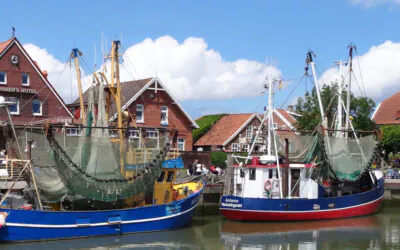 Inselhüpfen in Ostfriesland