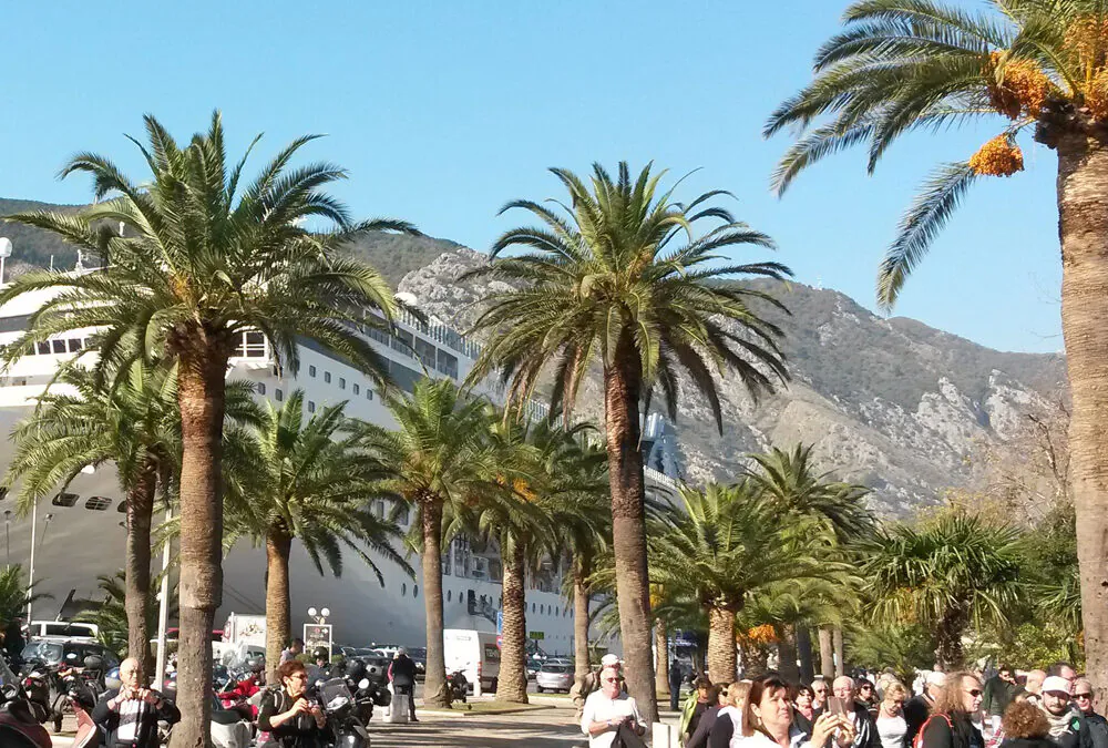 Premiumreise Montenegro