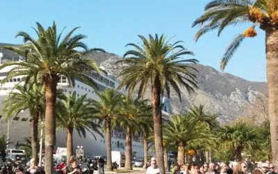 Premiumreise Montenegro