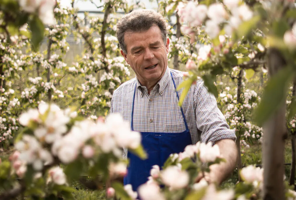 Apfelblütenfest in Südtirol