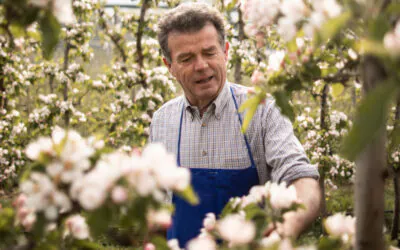 Apfelblütenfest in Südtirol