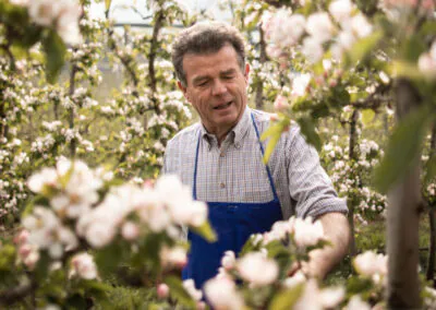 Apfelblütenfest in Südtirol