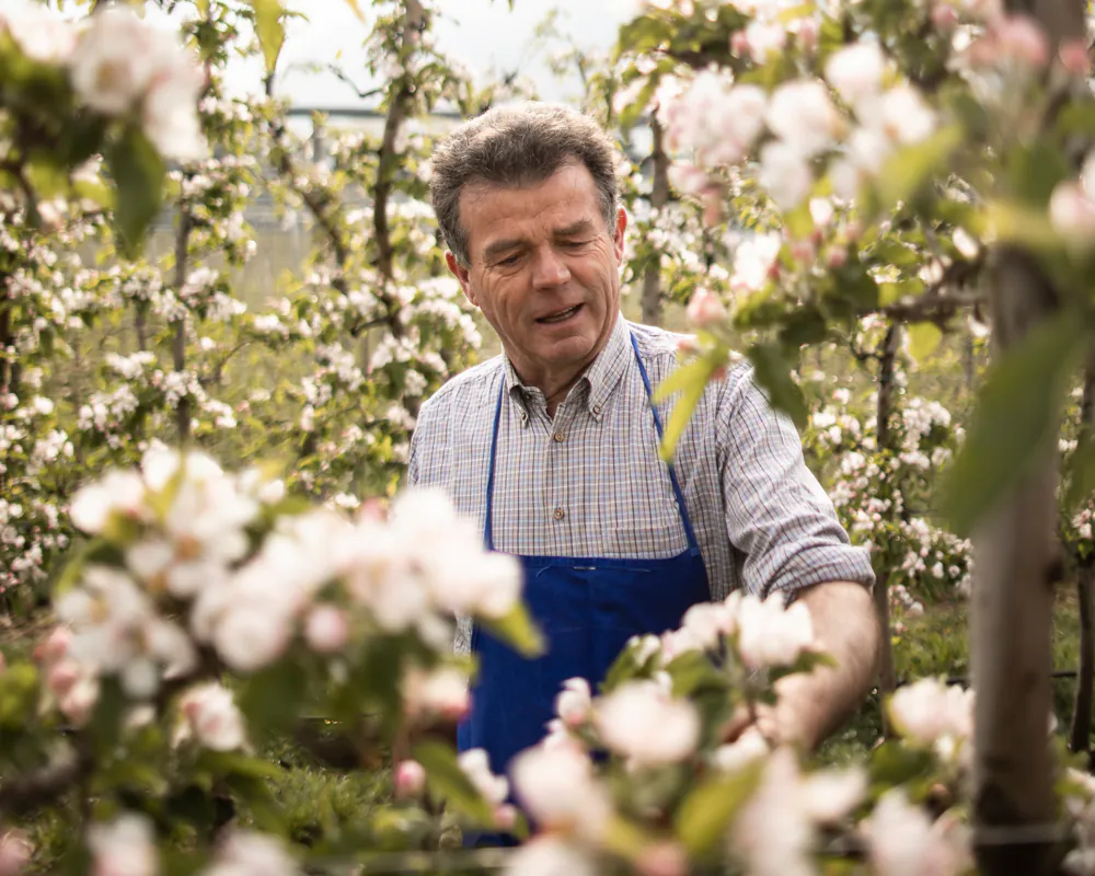 Apfelblütenfest Südtirol