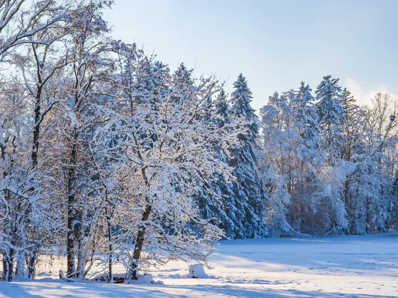 Winterfahrt mit der Weißeritztalbahn