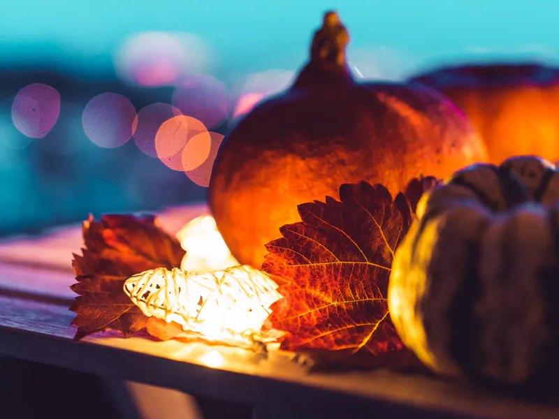 HERBST IN DER DAHLENER HEIDE