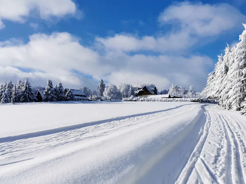 jubiläumstour-osterzgebirge-Tagesfahrt-nictours-2026