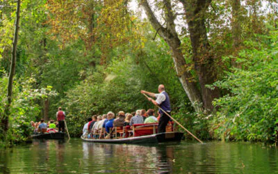 DEN SPREEWALD HAUTNAH ERLEBEN
