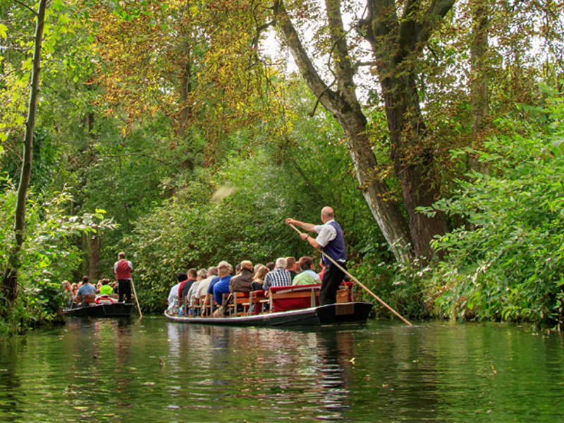 DEN SPREEWALD HAUTNAH ERLEBEN