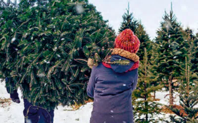 Mein Weihnachtsbaum aus Finnland