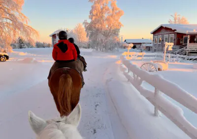 Ihr Hotel: Das familienfreundliche Resort „Holiday Club Tropiikki“ liegt zwischen Kuusamo und Ruka im Norden Finnlands, direkt am Petäjä-See. Die weitläufige Anlage umfasst ein Haupthaus, mehrere Nebengebäude mit Apartments und Ferienhäuser. Im Haupthaus befindet sich das Hotelrestaurant, wo gebuchte Mahlzeiten eingenommen werden und ein rustikaler Pub, der lokale Speisen und Burger serviert. Die Hotelgäste haben täglichen Zugang zum Schwimmbad mit Sauna und Fitnessbereich. Die renovierten und modern eingerichteten Doppelzimmer befinden sich im Haupthaus und verfügen über Bad oder Du/WC, TV und Haartrockner sowie gratis WLAN. Die Apartments sind großzügig geschnitten, bieten 2 Schlafzimmer, einen Wohnbereich mit Kamin, eine Küche und eine private Sauna zur Entspannung. Informationen zu den Inklusivausflügen: Schnuppersauna am See – Die traditionsreiche Saunakultur in Finnland ist ein wichtiger Bestandteil der finnischen Kultur und aus dem Leben der Finnen nicht wegzudenken. Wer mag lässt den Tag mit einem Saunabesuch und anschließendem Eisbad im See ausklingen. Schneeschuhwanderung ab/an Hotel – Auf einer Schneeschuhwanderung durch winterliche Landschaften erleben Sie die Schönheiten des Winterwunderlandes hautnah. Ausgerüstet mit Leihschuhen und einer kleinen Einweisung geht es über zugefrorene Seen und Wege. Hinweise: ca. 1 Std. / teilweise englischsprachiger Guide, Einführung mit deutscher Übersetzung Besuch einer Rentierfarm Beim Besuch der Rentierfarm, die seit 6 Generationen von der Familie von Satu geführt wird, lernen Sie viel über das Leben der Tiere. Besonders reizvoll ist der Besuch im „Rentier-Kindergarten“, wenn die kleinen Vierbeiner ganz ohne Scheu mit Ihnen auf Tuchfühlung gehen. Eine kurze Fahrt mit dem Rentierschlitten rundet Ihren Ausflug wunderbar ab. Hinweise: 2 Teilnehmer pro Rentierschlitten als Selbstfahrer / auch für Anfänger geeignet / sehr warme Handschuhe und Kleidung zwingend erforderlich Hundeschlittenfahrt 5 km Der wohl emotionalste Weg die Weite und Schönheit des verschneiten Skandinaviens zu entdecken, ist ein Ausflug mit einem Hundeschlittengespann. Nach einer Sicherheitseinweisung und dem Kennenlernen des Gespanns geht es je nach Schneesituation mit bis zu 6 Hunden los. Begleitet von einem erfahrenen Guide finden die Hunde schnell ihr Tempo und lassen das Gespann durch die tief verschneite Landschaft gleiten. Die 5 km Tour vermittelt Einsteigern ein gutes Gefühl und kurzweiliges Erlebnis auf zugefrorenen Seen. Ein Stopp bietet Zeit für Fotos oder Fahrerwechsel. Am Ende der Tour bleibt Zeit, um am Feuer das Erlebte Revue passieren zu lassen. Hinweise: inkl. Transfers ca. 2,5 Std. / englischsprachiger Guide / 2 Teilnehmer pro Hundeschlitten als Selbstfahrer / körperliche Fitness und Durchhaltevermögen zwingend erforderlich / sehr warme Handschuhe und Kleidung zwingend erforderlich Pferde