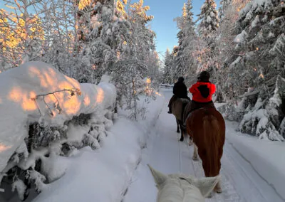 Ihr Hotel: Das familienfreundliche Resort „Holiday Club Tropiikki“ liegt zwischen Kuusamo und Ruka im Norden Finnlands, direkt am Petäjä-See. Die weitläufige Anlage umfasst ein Haupthaus, mehrere Nebengebäude mit Apartments und Ferienhäuser. Im Haupthaus befindet sich das Hotelrestaurant, wo gebuchte Mahlzeiten eingenommen werden und ein rustikaler Pub, der lokale Speisen und Burger serviert. Die Hotelgäste haben täglichen Zugang zum Schwimmbad mit Sauna und Fitnessbereich. Die renovierten und modern eingerichteten Doppelzimmer befinden sich im Haupthaus und verfügen über Bad oder Du/WC, TV und Haartrockner sowie gratis WLAN. Die Apartments sind großzügig geschnitten, bieten 2 Schlafzimmer, einen Wohnbereich mit Kamin, eine Küche und eine private Sauna zur Entspannung. Informationen zu den Inklusivausflügen: Schnuppersauna am See – Die traditionsreiche Saunakultur in Finnland ist ein wichtiger Bestandteil der finnischen Kultur und aus dem Leben der Finnen nicht wegzudenken. Wer mag lässt den Tag mit einem Saunabesuch und anschließendem Eisbad im See ausklingen. Schneeschuhwanderung ab/an Hotel – Auf einer Schneeschuhwanderung durch winterliche Landschaften erleben Sie die Schönheiten des Winterwunderlandes hautnah. Ausgerüstet mit Leihschuhen und einer kleinen Einweisung geht es über zugefrorene Seen und Wege. Hinweise: ca. 1 Std. / teilweise englischsprachiger Guide, Einführung mit deutscher Übersetzung Besuch einer Rentierfarm Beim Besuch der Rentierfarm, die seit 6 Generationen von der Familie von Satu geführt wird, lernen Sie viel über das Leben der Tiere. Besonders reizvoll ist der Besuch im „Rentier-Kindergarten“, wenn die kleinen Vierbeiner ganz ohne Scheu mit Ihnen auf Tuchfühlung gehen. Eine kurze Fahrt mit dem Rentierschlitten rundet Ihren Ausflug wunderbar ab. Hinweise: 2 Teilnehmer pro Rentierschlitten als Selbstfahrer / auch für Anfänger geeignet / sehr warme Handschuhe und Kleidung zwingend erforderlich Hundeschlittenfahrt 5 km Der wohl emotionalste Weg die Weite und Schönheit des verschneiten Skandinaviens zu entdecken, ist ein Ausflug mit einem Hundeschlittengespann. Nach einer Sicherheitseinweisung und dem Kennenlernen des Gespanns geht es je nach Schneesituation mit bis zu 6 Hunden los. Begleitet von einem erfahrenen Guide finden die Hunde schnell ihr Tempo und lassen das Gespann durch die tief verschneite Landschaft gleiten. Die 5 km Tour vermittelt Einsteigern ein gutes Gefühl und kurzweiliges Erlebnis auf zugefrorenen Seen. Ein Stopp bietet Zeit für Fotos oder Fahrerwechsel. Am Ende der Tour bleibt Zeit, um am Feuer das Erlebte Revue passieren zu lassen. Hinweise: inkl. Transfers ca. 2,5 Std. / englischsprachiger Guide / 2 Teilnehmer pro Hundeschlitten als Selbstfahrer / körperliche Fitness und Durchhaltevermögen zwingend erforderlich / sehr warme Handschuhe und Kleidung zwingend erforderlich Pferde