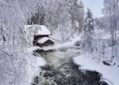 Ihr Hotel: Das familienfreundliche Resort „Holiday Club Tropiikki“ liegt zwischen Kuusamo und Ruka im Norden Finnlands, direkt am Petäjä-See. Die weitläufige Anlage umfasst ein Haupthaus, mehrere Nebengebäude mit Apartments und Ferienhäuser. Im Haupthaus befindet sich das Hotelrestaurant, wo gebuchte Mahlzeiten eingenommen werden und ein rustikaler Pub, der lokale Speisen und Burger serviert. Die Hotelgäste haben täglichen Zugang zum Schwimmbad mit Sauna und Fitnessbereich. Die renovierten und modern eingerichteten Doppelzimmer befinden sich im Haupthaus und verfügen über Bad oder Du/WC, TV und Haartrockner sowie gratis WLAN. Die Apartments sind großzügig geschnitten, bieten 2 Schlafzimmer, einen Wohnbereich mit Kamin, eine Küche und eine private Sauna zur Entspannung. Informationen zu den Inklusivausflügen: Schnuppersauna am See – Die traditionsreiche Saunakultur in Finnland ist ein wichtiger Bestandteil der finnischen Kultur und aus dem Leben der Finnen nicht wegzudenken. Wer mag lässt den Tag mit einem Saunabesuch und anschließendem Eisbad im See ausklingen. Schneeschuhwanderung ab/an Hotel – Auf einer Schneeschuhwanderung durch winterliche Landschaften erleben Sie die Schönheiten des Winterwunderlandes hautnah. Ausgerüstet mit Leihschuhen und einer kleinen Einweisung geht es über zugefrorene Seen und Wege. Hinweise: ca. 1 Std. / teilweise englischsprachiger Guide, Einführung mit deutscher Übersetzung Besuch einer Rentierfarm Beim Besuch der Rentierfarm, die seit 6 Generationen von der Familie von Satu geführt wird, lernen Sie viel über das Leben der Tiere. Besonders reizvoll ist der Besuch im „Rentier-Kindergarten“, wenn die kleinen Vierbeiner ganz ohne Scheu mit Ihnen auf Tuchfühlung gehen. Eine kurze Fahrt mit dem Rentierschlitten rundet Ihren Ausflug wunderbar ab. Hinweise: 2 Teilnehmer pro Rentierschlitten als Selbstfahrer / auch für Anfänger geeignet / sehr warme Handschuhe und Kleidung zwingend erforderlich Hundeschlittenfahrt 5 km Der wohl emotionalste Weg die Weite und Schönheit des verschneiten Skandinaviens zu entdecken, ist ein Ausflug mit einem Hundeschlittengespann. Nach einer Sicherheitseinweisung und dem Kennenlernen des Gespanns geht es je nach Schneesituation mit bis zu 6 Hunden los. Begleitet von einem erfahrenen Guide finden die Hunde schnell ihr Tempo und lassen das Gespann durch die tief verschneite Landschaft gleiten. Die 5 km Tour vermittelt Einsteigern ein gutes Gefühl und kurzweiliges Erlebnis auf zugefrorenen Seen. Ein Stopp bietet Zeit für Fotos oder Fahrerwechsel. Am Ende der Tour bleibt Zeit, um am Feuer das Erlebte Revue passieren zu lassen. Hinweise: inkl. Transfers ca. 2,5 Std. / englischsprachiger Guide / 2 Teilnehmer pro Hundeschlitten als Selbstfahrer / körperliche Fitness und Durchhaltevermögen zwingend erforderlich / sehr warme Handschuhe und Kleidung zwingend erforderlich