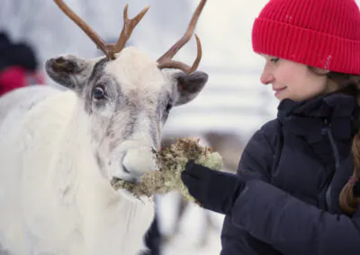 Ihr Hotel: Das familienfreundliche Resort „Holiday Club Tropiikki“ liegt zwischen Kuusamo und Ruka im Norden Finnlands, direkt am Petäjä-See. Die weitläufige Anlage umfasst ein Haupthaus, mehrere Nebengebäude mit Apartments und Ferienhäuser. Im Haupthaus befindet sich das Hotelrestaurant, wo gebuchte Mahlzeiten eingenommen werden und ein rustikaler Pub, der lokale Speisen und Burger serviert. Die Hotelgäste haben täglichen Zugang zum Schwimmbad mit Sauna und Fitnessbereich. Die renovierten und modern eingerichteten Doppelzimmer befinden sich im Haupthaus und verfügen über Bad oder Du/WC, TV und Haartrockner sowie gratis WLAN. Die Apartments sind großzügig geschnitten, bieten 2 Schlafzimmer, einen Wohnbereich mit Kamin, eine Küche und eine private Sauna zur Entspannung. Informationen zu den Inklusivausflügen: Schnuppersauna am See – Die traditionsreiche Saunakultur in Finnland ist ein wichtiger Bestandteil der finnischen Kultur und aus dem Leben der Finnen nicht wegzudenken. Wer mag lässt den Tag mit einem Saunabesuch und anschließendem Eisbad im See ausklingen. Schneeschuhwanderung ab/an Hotel – Auf einer Schneeschuhwanderung durch winterliche Landschaften erleben Sie die Schönheiten des Winterwunderlandes hautnah. Ausgerüstet mit Leihschuhen und einer kleinen Einweisung geht es über zugefrorene Seen und Wege. Hinweise: ca. 1 Std. / teilweise englischsprachiger Guide, Einführung mit deutscher Übersetzung Besuch einer Rentierfarm Beim Besuch der Rentierfarm, die seit 6 Generationen von der Familie von Satu geführt wird, lernen Sie viel über das Leben der Tiere. Besonders reizvoll ist der Besuch im „Rentier-Kindergarten“, wenn die kleinen Vierbeiner ganz ohne Scheu mit Ihnen auf Tuchfühlung gehen. Eine kurze Fahrt mit dem Rentierschlitten rundet Ihren Ausflug wunderbar ab. Hinweise: 2 Teilnehmer pro Rentierschlitten als Selbstfahrer / auch für Anfänger geeignet / sehr warme Handschuhe und Kleidung zwingend erforderlich Hundeschlittenfahrt 5 km Der wohl emotionalste Weg die Weite und Schönheit des verschneiten Skandinaviens zu entdecken, ist ein Ausflug mit einem Hundeschlittengespann. Nach einer Sicherheitseinweisung und dem Kennenlernen des Gespanns geht es je nach Schneesituation mit bis zu 6 Hunden los. Begleitet von einem erfahrenen Guide finden die Hunde schnell ihr Tempo und lassen das Gespann durch die tief verschneite Landschaft gleiten. Die 5 km Tour vermittelt Einsteigern ein gutes Gefühl und kurzweiliges Erlebnis auf zugefrorenen Seen. Ein Stopp bietet Zeit für Fotos oder Fahrerwechsel. Am Ende der Tour bleibt Zeit, um am Feuer das Erlebte Revue passieren zu lassen. Hinweise: inkl. Transfers ca. 2,5 Std. / englischsprachiger Guide / 2 Teilnehmer pro Hundeschlitten als Selbstfahrer / körperliche Fitness und Durchhaltevermögen zwingend erforderlich / sehr warme Handschuhe und Kleidung zwingend erforderlich Rentier